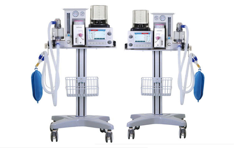 DM6Bの獣医の麻酔の換気装置システムAC 100-240V 7インチ色LCDの表示